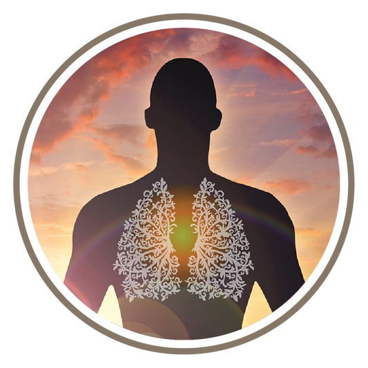 6 Week Breathwork Course