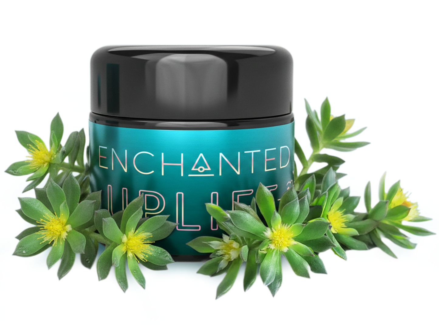 Enchanted UPLIFT - 0