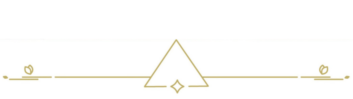 A minimalist horizontal line design with a central upward-pointing triangle and small decorative leaf-like motifs on both sides, rendered in a thin warm gold tone on a white background.